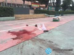 7歲小學(xué)生遭校車碾壓致死 司機(jī)已被控制