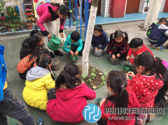 簇橋中心幼兒園孩子感受自然 親自種植樹(shù)