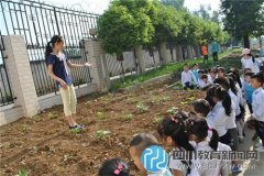 成都駙馬小學開展“幼小銜接”活動