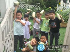 五幼中一小“農(nóng)夫”八寶社區(qū)采摘西葫蘆